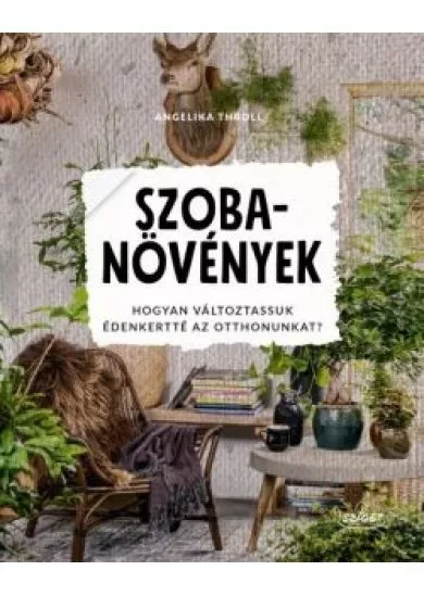 Szobanövények - Hogyan változtassuk édenkertté az otthonunkat?