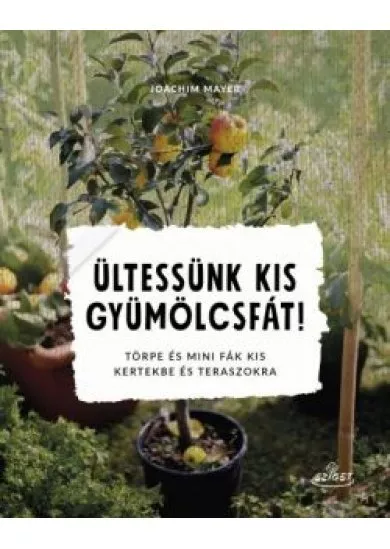 Ültessünk kis gyümölcsfát! - Törpe és mini fák kis kertekbe és teraszokra