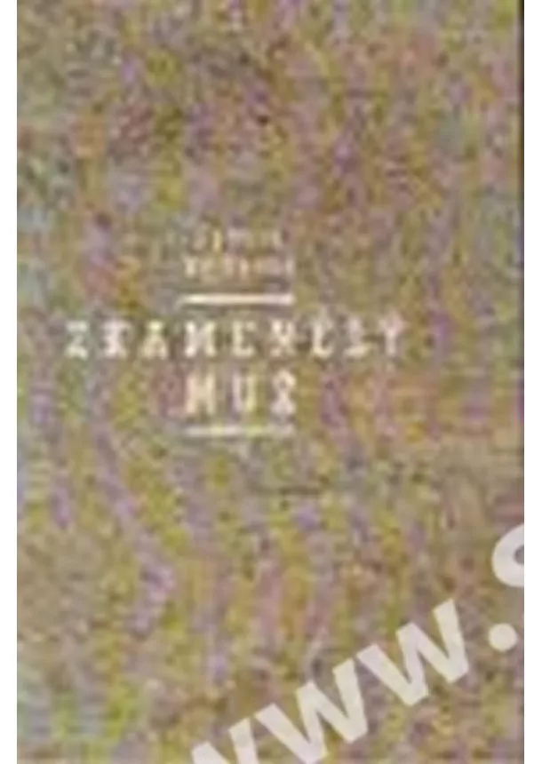 Eudora Weltyová - Zkamenělý muž