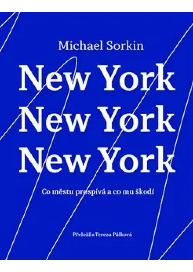 New York, New York, New York - Co městu prospívá a co mu škodí
