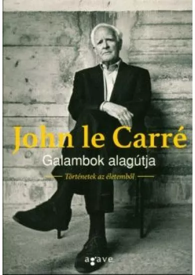 Galambok alagútja /Történetek az életemből