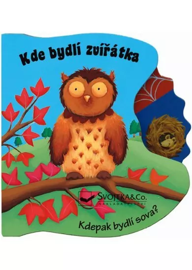 Kde bydlí zvířátka - Kdepak bydlí sova?