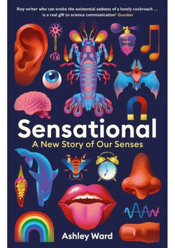 Ashley Ward - Sensational