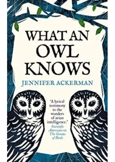 What an Owl Know