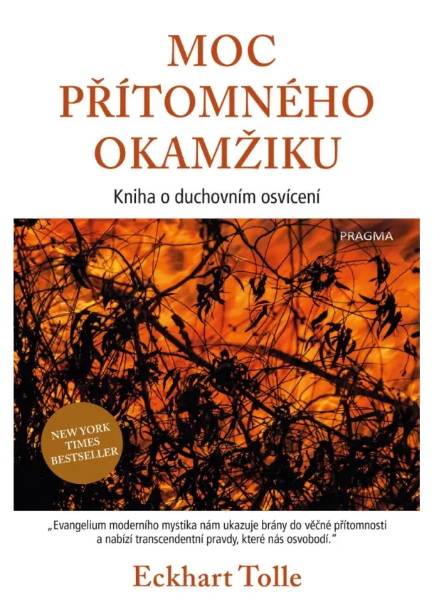 Eckhart Tolle - Moc přítomného okamžiku