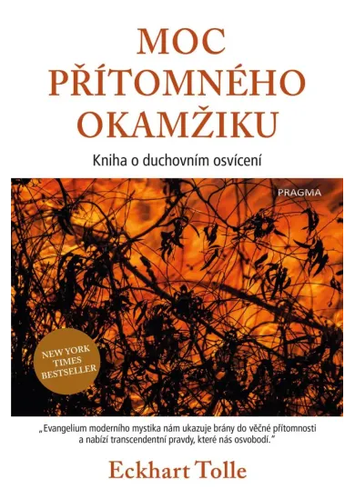 Moc přítomného okamžiku