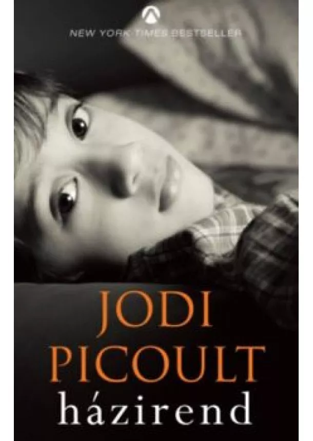 JODI PICOULT - HÁZIREND