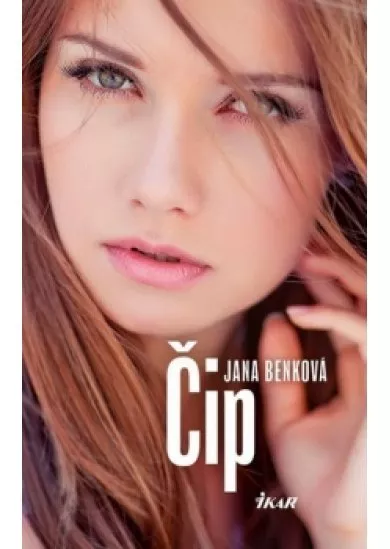 Čip