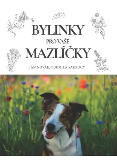 Bylinky pro vaše mazlíčky