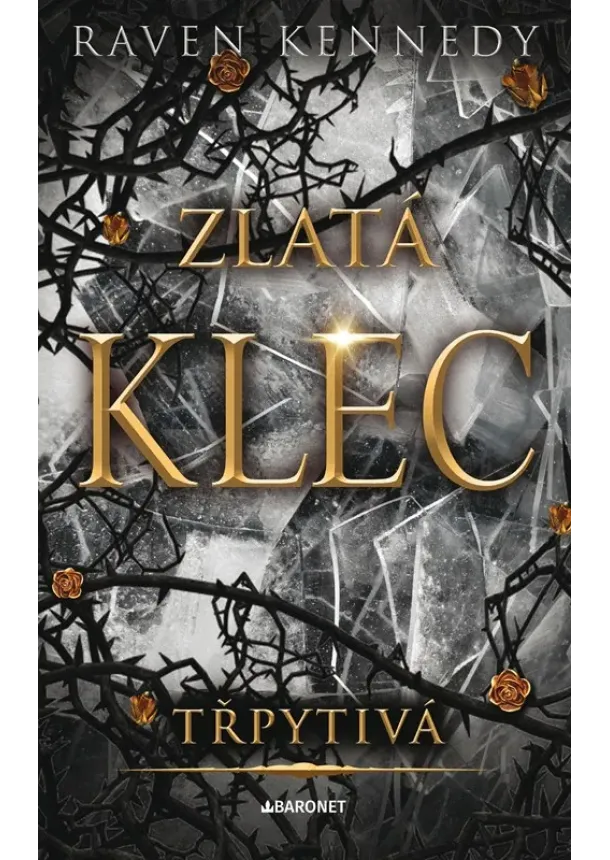 Raven Kennedy - Třpytivá