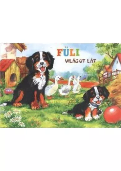 Füli világot lát /Leporelló