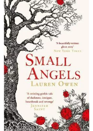 Small Angels: ´A twisting gothic tale of darkness, intrigue, heartbreak and revenge´ Jennifer Saint