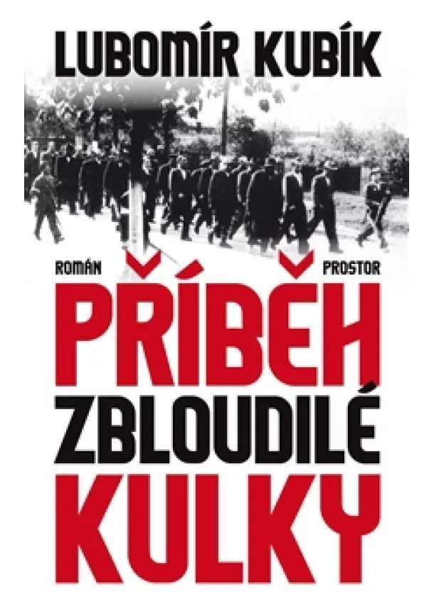 Lubomír Kubík - Příběh zbloudilé kulky