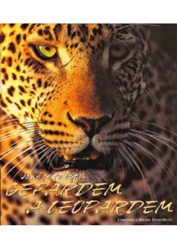 Kolektív - Jaké je to být Gepardem a Leopardem