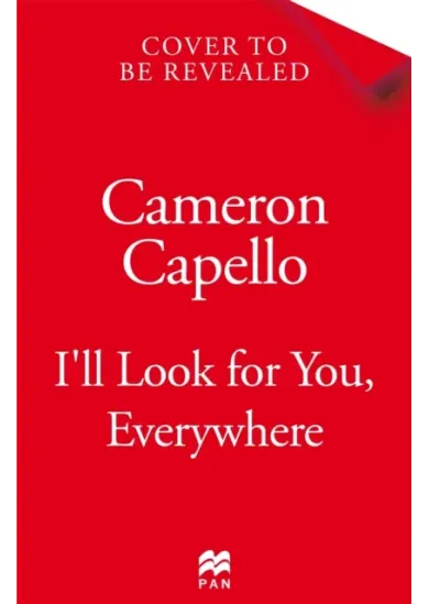 Ill Look for You, Everywhere