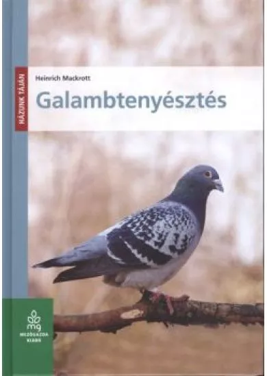 Galambtenyésztés /Házunk táján