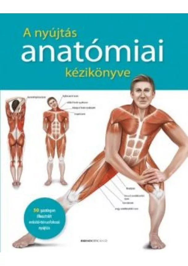 Prof. dr. Ken Ashwell - A nyújtás anatómiai kézikönyve - 50 gazdagon illusztrált erősítő-tónusfokozó nyújtás