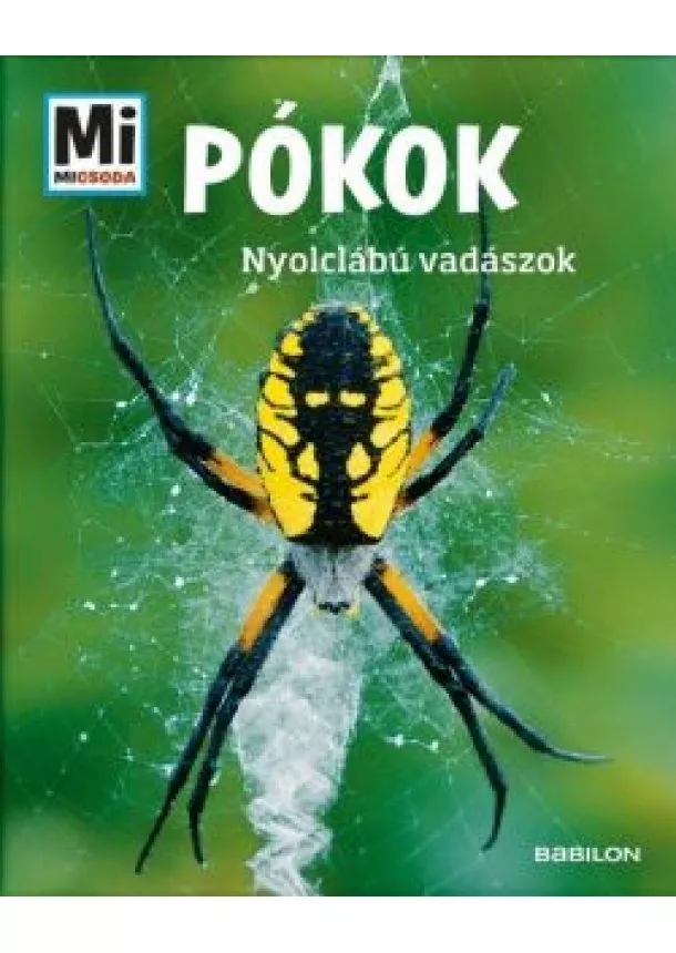 Manfred Baur - Pókok - Nyolclábú vadászok - Mi Micsoda