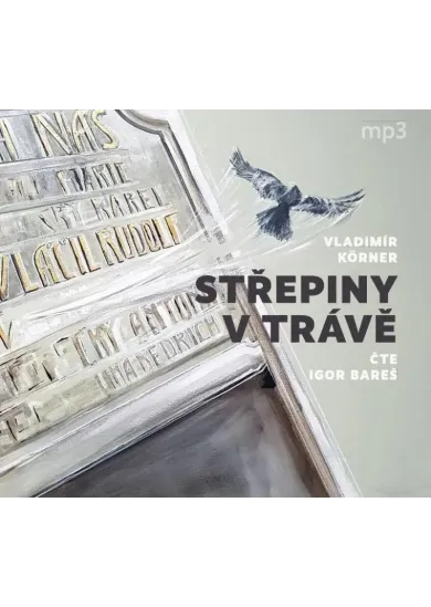 BAREŠ IGOR  KÖRNER: STŘEPINY V TRÁVĚ