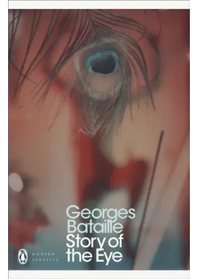 Story of the Eye