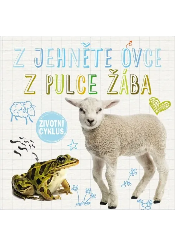 autor neuvedený - Z jehně ovce, z pulce žába - Životní cyklus