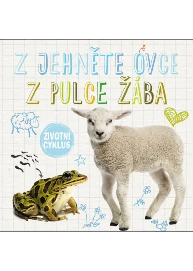 Z jehně ovce, z pulce žába - Životní cyklus