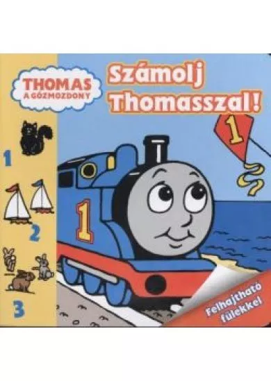 SZÁMOLJ THOMASSZAL!