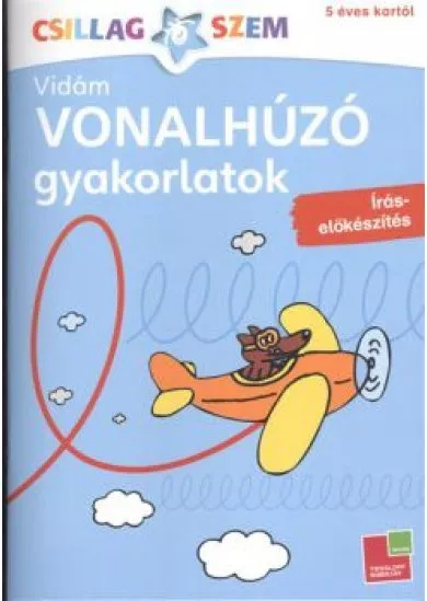 Vonalhúzó gyakorlatok: Írás előkészítés - kék /Csillagszem