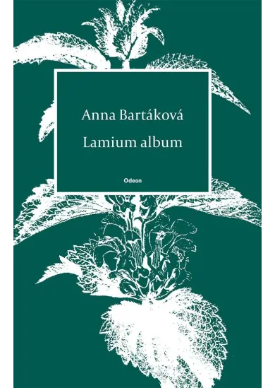 Lamium album