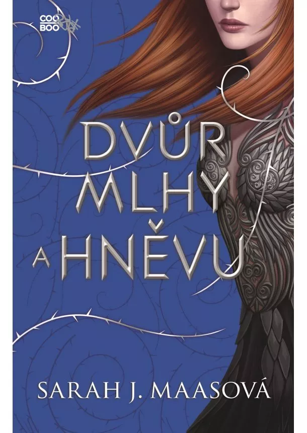 Sarah J. Maas - Dvůr mlhy a hněvu