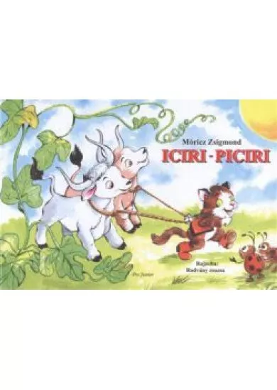 ICIRI-PICIRI