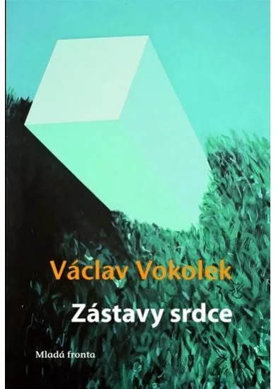 Zástavy srdce
