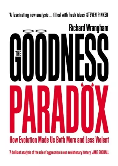 The Goodness Paradox