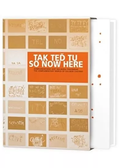 Tak teď tu - Komplementární svět Dalibora Chatrného + DVD