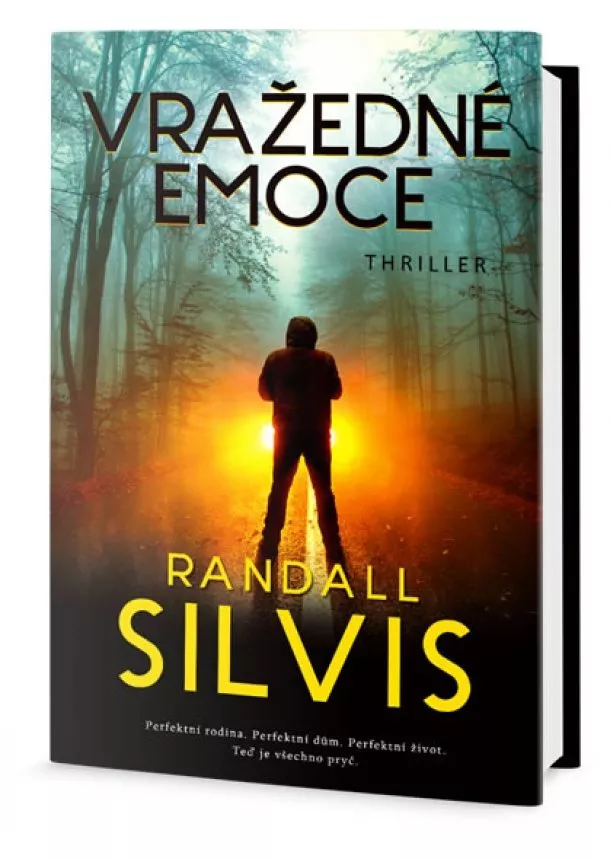 Randall Silvis - Vražedné emoce