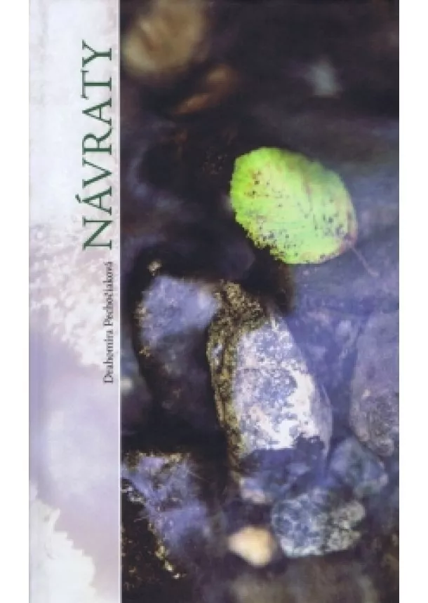 Drahomíra Pechočiaková - Návraty
