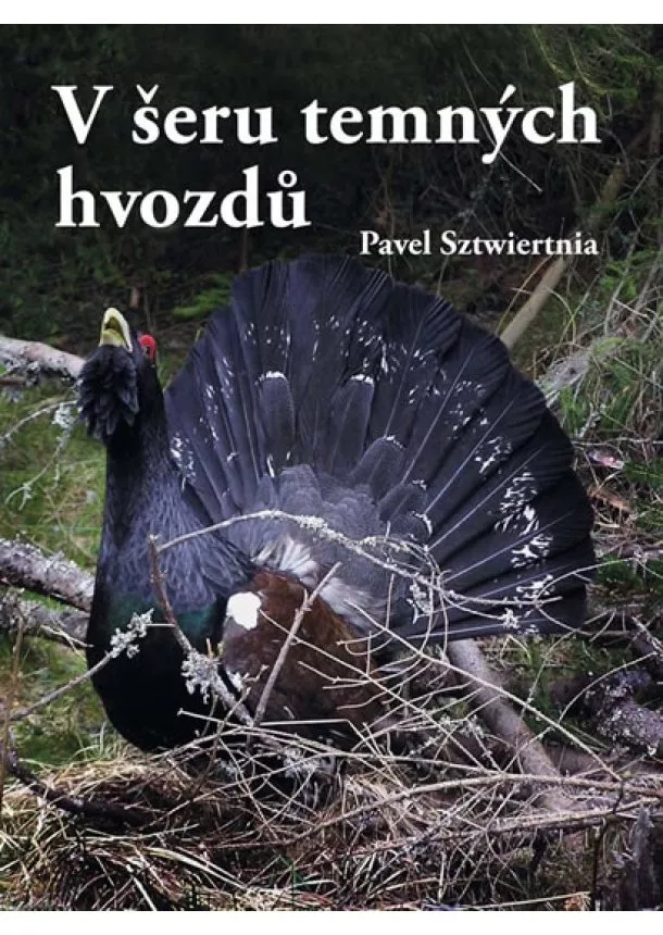 Pavel Sztwiertnia - V šeru temných hvozdů