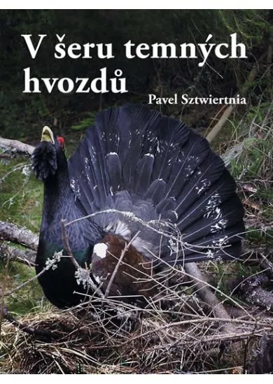 V šeru temných hvozdů
