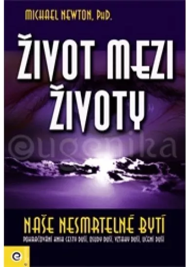 Život mezi životy