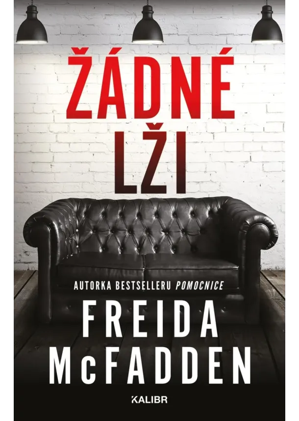 Freida McFadden - Žádné lži