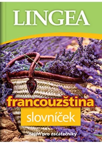 Francouzština slovníček - ...nejen pro začátečníky