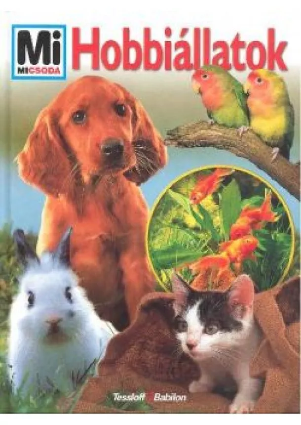 MI MICSODA SOROZAT - HOBBIÁLLATOK