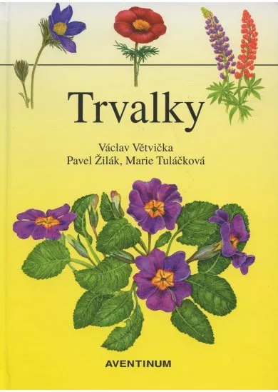 Trvalky