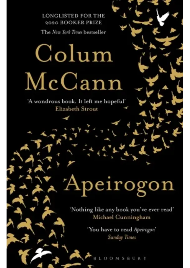 Colum McCann - Apeirogon