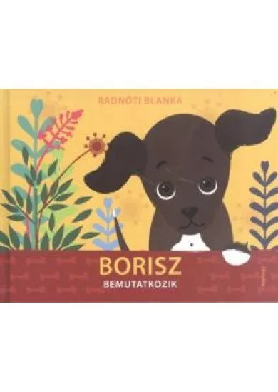BORISZ BEMUTATKOZIK