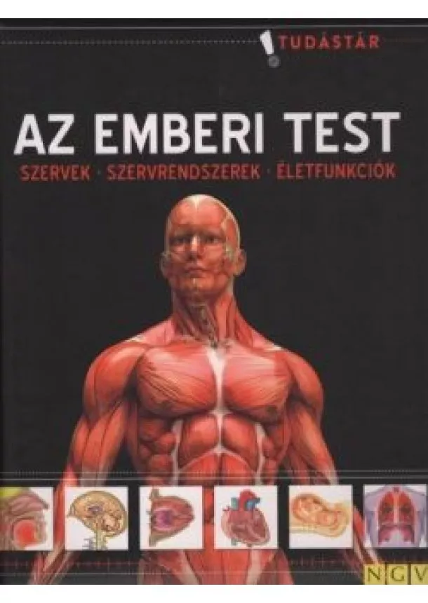 Ismeretterjesztő - Az emberi test - Szervek - Szervrendszerek - Életfunkciók