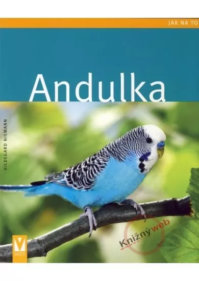 Andulka - jak na to