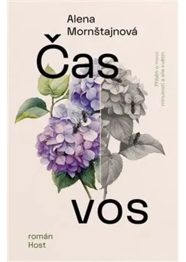 Alena Mornštajnová - Čas vos