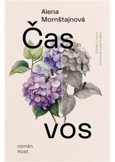 Čas vos