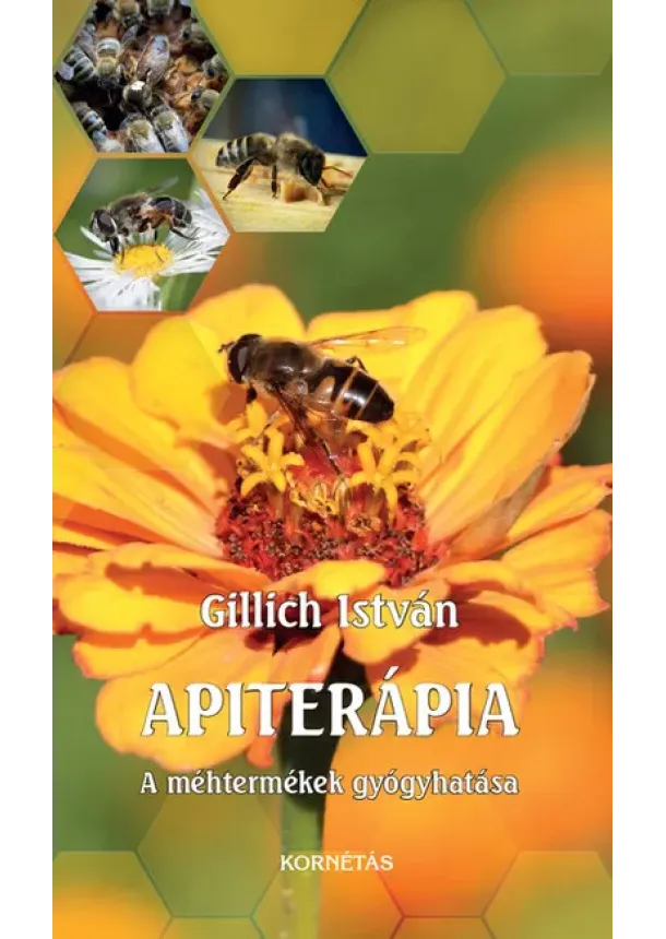 Gillich István - Apiterápia - A méhtermékek gyógyhtása